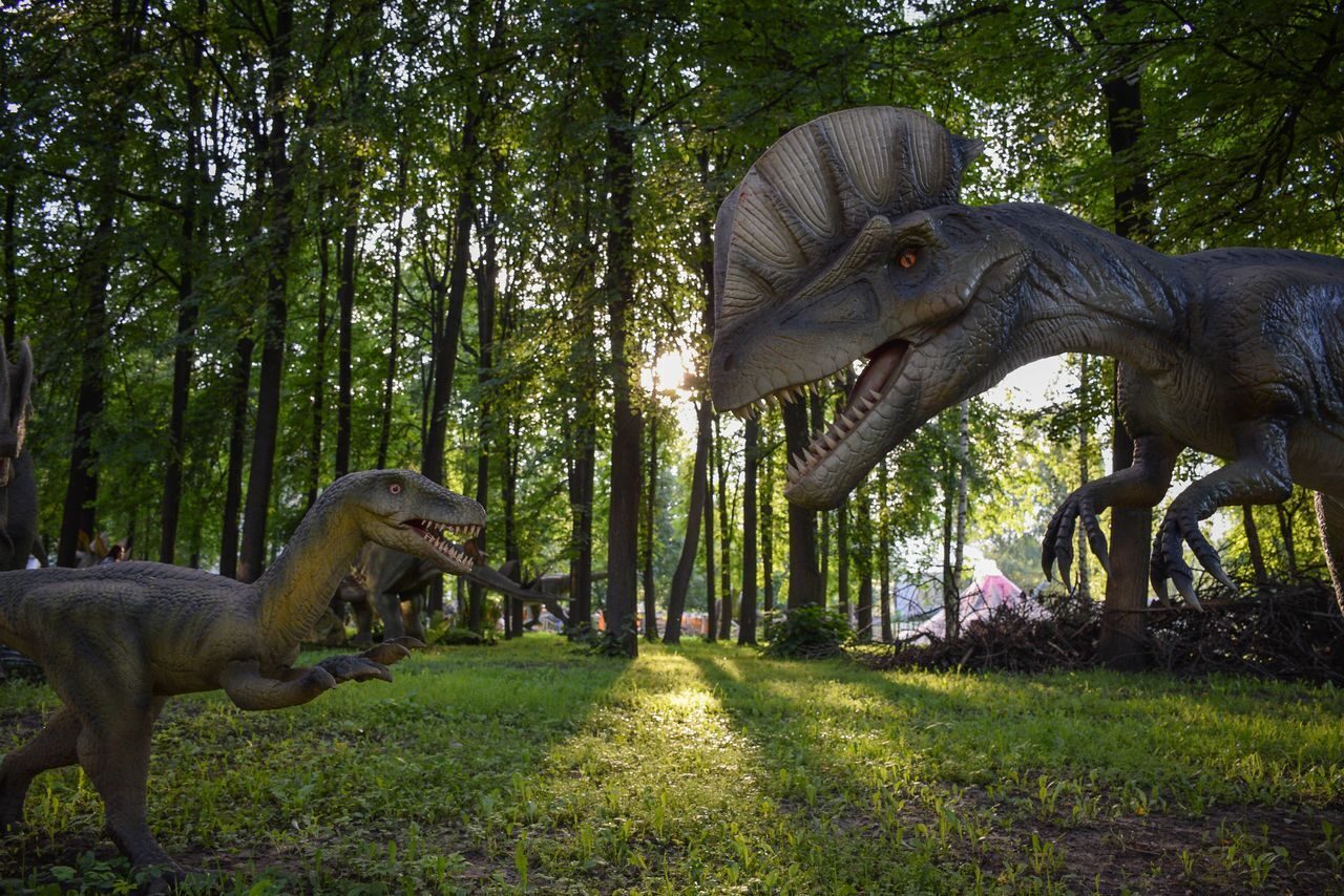 Парк динозавров ярославль. Парк динозавров в Химках. Ярославский Динопарк. Парк динозавров Янцзы.