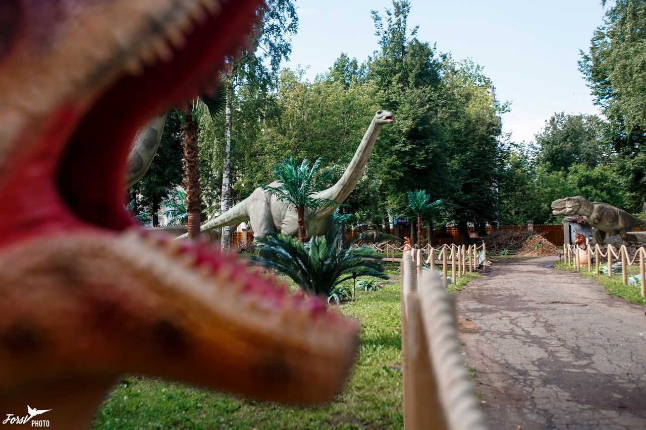 Парк динозавров ярославль. Ярославль парк динозавров 2023. Парк динозавров Сестрорецк. Сормовский парк динозавры.